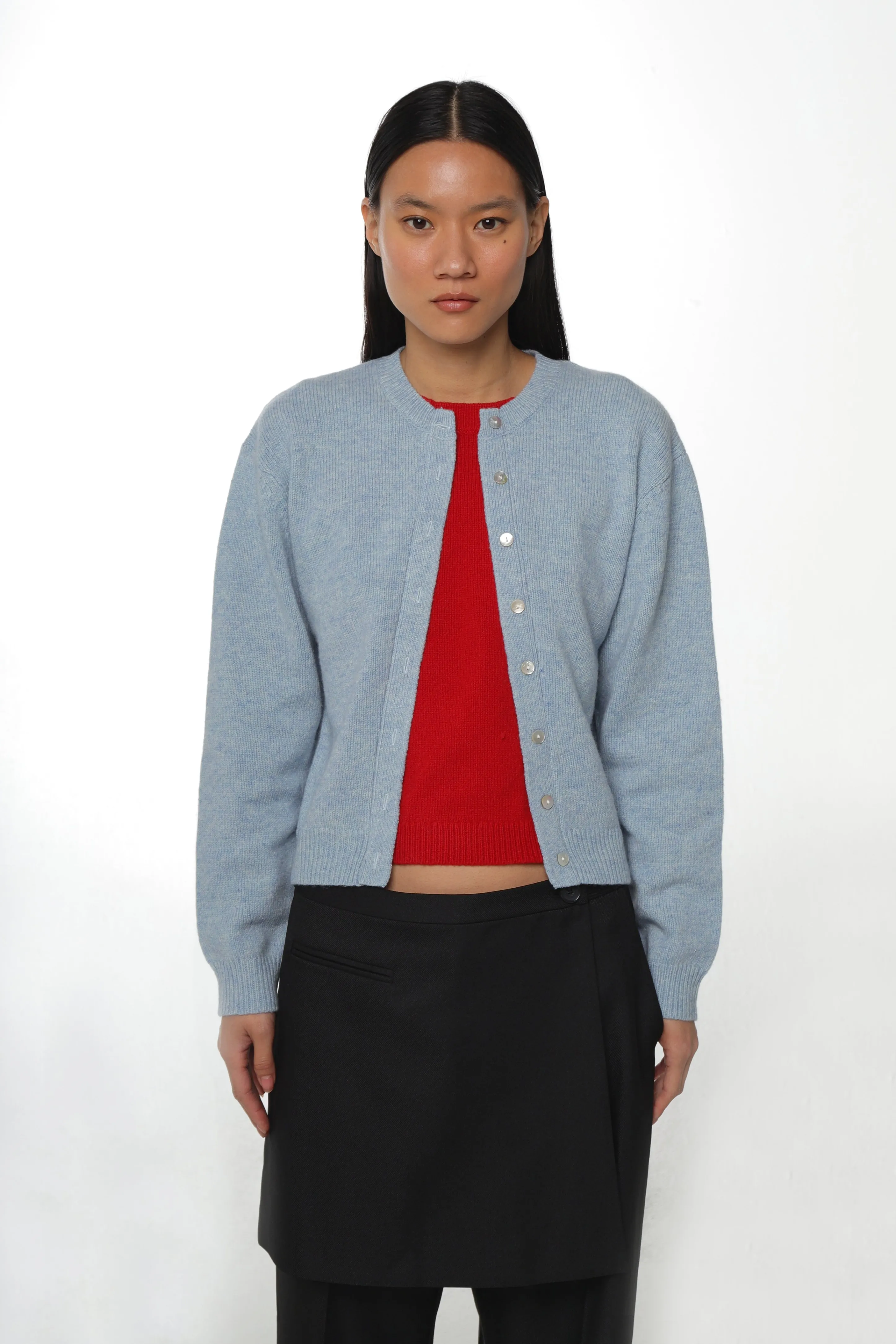 NEWT SWEATER IN LIGHT BLUE